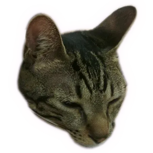 Angel the Meow - Sticker 3