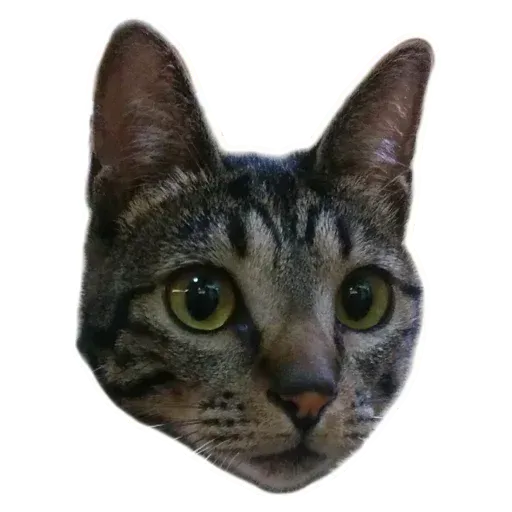 Angel the Meow- Sticker