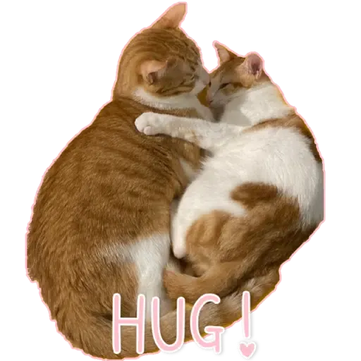 Hug&Home_可愛篇 - Sticker 3