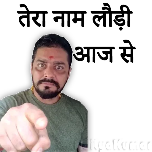 Hindustani bhauu - Sticker