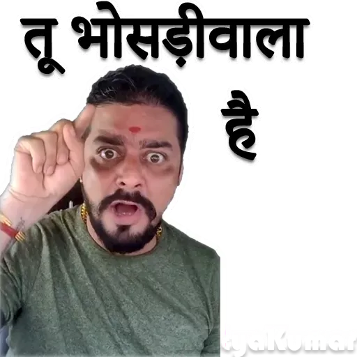 Hindustani bhauu - Sticker 4